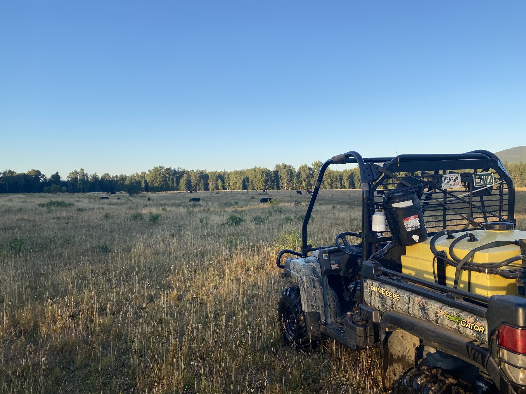 KC Pest and Weed spray rig beside pasture ground with cattle in the distance